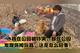 小孩在公园被吓哭，却在公园发现坏掉玩具，这是怎么回事？视频封面