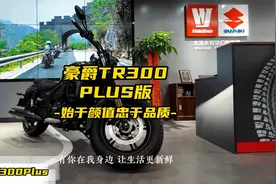 豪爵TR300PLUS版新车实拍，到底都改了哪里？视频封面