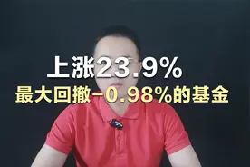 上涨23.9%，最大回撤-0.98%的基金！视频封面