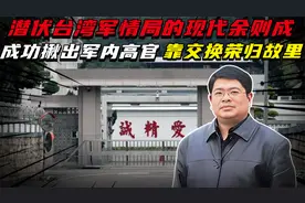 潜伏台湾军情局的现代余则成，成功揪出军内高官！靠交换荣归故里视频封面