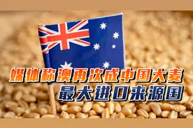澳对华发难不到48小时，媒体称澳再次成中国大麦，最大进口来源国视频封面