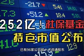 252亿！社保基金持仓市值最高的5家公司公布视频封面