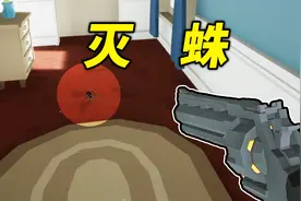 家里全是蜘蛛怎么办？！