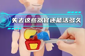 如果当你失去这些器官后分别还能活多久？视频封面