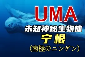 【UMA系列】第三十期：南极深海人形巨怪宁根