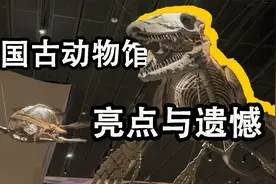 全新开放的中国古动物馆值不值得去？【保定自然博物馆】视频封面