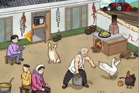 这个谐音梗还是有难度的视频封面