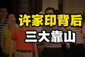 许家印背后三大靠山，两人救过恒大的命，一人帮恒大骗取贷款视频封面