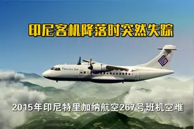 印尼客机降落时突然失踪，搜救队寻找多日在半山腰找到，纪录片视频封面