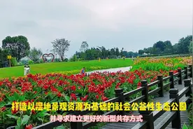 打造以湿地景观资源为基础的社会公益性生态公园视频封面