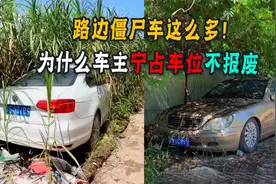 路边百万豪车占车位！为啥宁放烂生灰都不开走！这些司机去哪了？视频封面