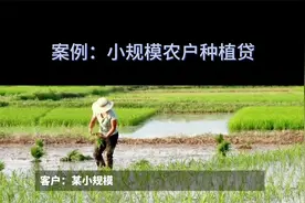 案例：小规模农户种植贷视频封面