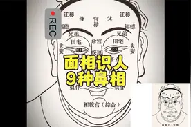 面相识人：9种鼻型断人生！