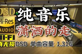 粉丝点播：纯音乐《潇洒的走》DSD完整版，百万调音师专业制作视频封面