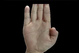 女人手握双蛇纹，財运必靠婚姻催旺！视频封面