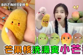芒果核洗完变“小芒狗'！毛茸茸胖嘟嘟手感超好，真能DIY出来吗？视频封面