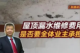 【张捷说法】屋顶漏水维修费用是否要全体业主承担？视频封面