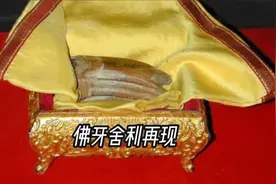 1964年两颗佛牙舍利在木塔内被发现，世上总共只有七颗视频封面