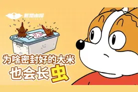 密封好的大米为啥也会长虫？视频封面