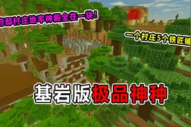 我的世界：3个国服最强种子！一个种子把所有遗迹都整合到了一起