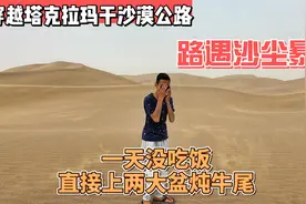 穿越塔克拉玛干沙漠公路，路遇沙尘暴，饿到直接上了两大盆炖牛尾视频封面