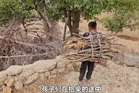 孩子们在山间遇到了一个木屋，难道是他们找到妈妈的下落了吗视频封面