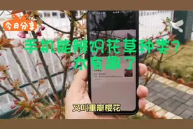 手机能辨认花草种类？这太有趣了，快来打开这个功能吧！