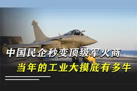 工业大摸底都摸出了什么？民企秒变军火商，硬核黑科技数都数不清视频封面