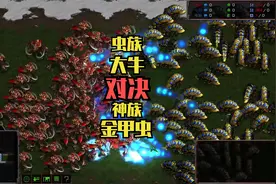 星际争霸：虫族最强地面兵种大牛 VS 神族金甲虫 你看好哪一家