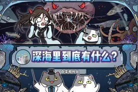 从海面到最深处都有哪些生物？