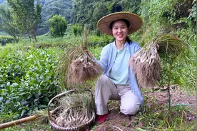 自制糖醋藠头，酸甜爽脆，超级下饭