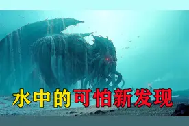 水中可怕的新发现，在河边发现的奇怪生物，官方人员秘密转移！视频封面