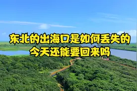 东北的出海口是如何丢失的，现在还能要回来吧视频封面