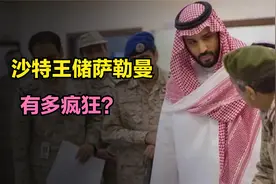 一代明主还是超级疯子？沙特王储萨勒曼的多面人生视频封面