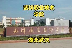 武汉职业技术学院视频封面