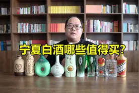 宁夏白酒测评：老银川、金糜子酒、塞上江南、沙湖春、大夏贡酒视频封面