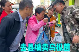 乌枞菌大丰收，扯了一背篓，冬宝去县城赶集卖，赚了320，发财了视频封面