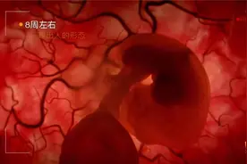 怀孕的过程，这次小朋友都能看懂了视频封面