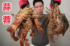 买10只小青龙，做蒜蓉小龙虾，整只抱起来啃超满足视频封面