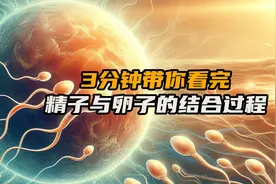 三分钟带你看完精子与卵子结合的全过程，生命真的来之不易视频封面