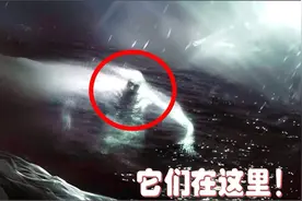 海豹突击队在南极冰层下拍到这可怕一幕后，他们封锁了南极洲视频封面