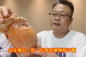 山东烟台：吃一斤多的莱州梭子蟹，体肥肢壮，原汁原味，吃美了视频封面