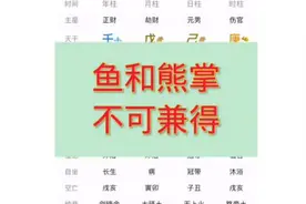 鱼和熊掌不可兼得视频封面