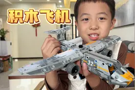乐高积木拼装的大飞机也太逼真了吧视频封面