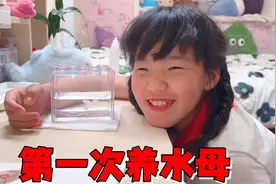 艾米花27元网购二只赤月水母，莫名其妙少一只，猜测是化成水了