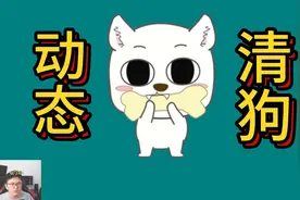 动态清零式杀狗，加深了中国人的刻板印象| 四川女童被狗咬事件