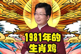 1981年的生肖鸡视频封面