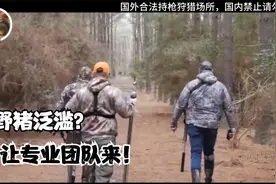 野猪泛滥一胎生九只大胖儿？让专业团队来！视频封面