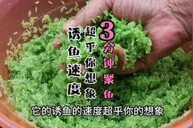 钓鱼人分分钟可学会，诱鱼速度超乎你的想象的野钓打窝酒米制作视频封面