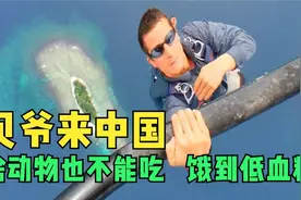 荒野求生，贝爷来中国了，但碍于野生动物保护法，直接饿到低血糖视频封面